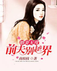 婚深情浅:前夫